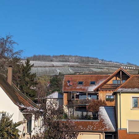 Le Cosy Apartment Marlenheim Bagian luar foto