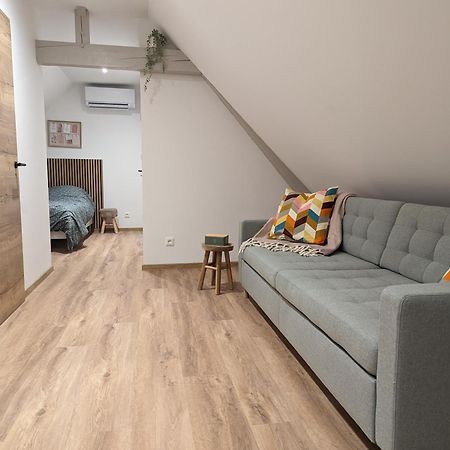 Le Cosy Apartment Marlenheim Bagian luar foto