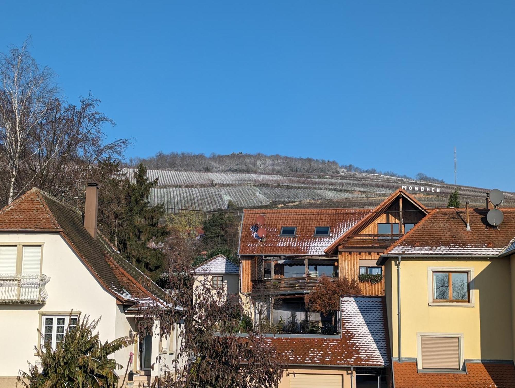 Le Cosy Apartment Marlenheim Bagian luar foto