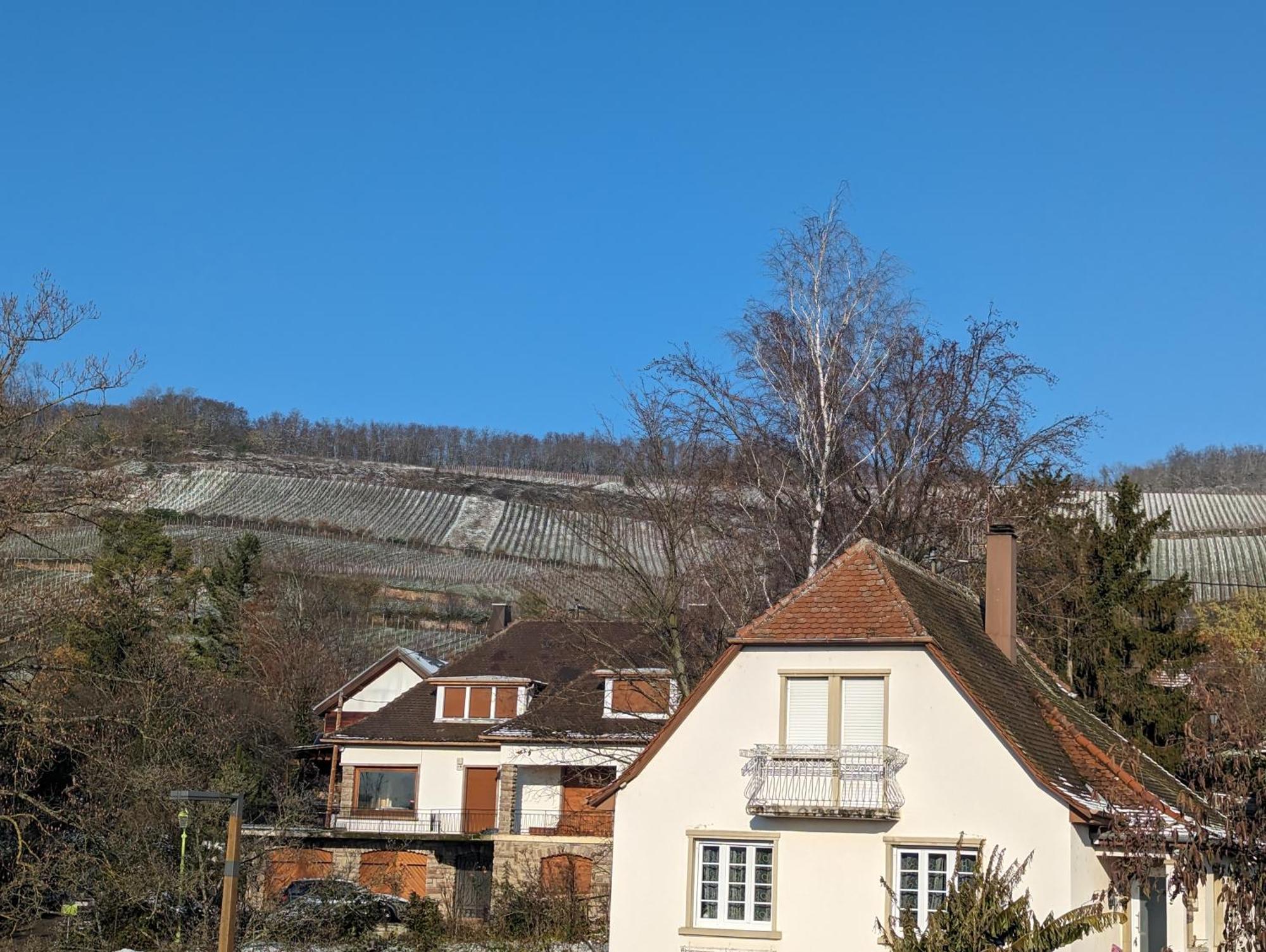 Le Cosy Apartment Marlenheim Bagian luar foto